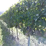 Weingut & Gaestehaus Kaufmann-schneider Ξενοδοχείο Erden