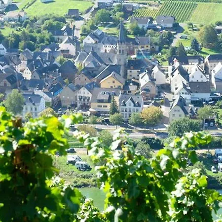 Hotel Weingut & Gaestehaus Kaufmann-schneider