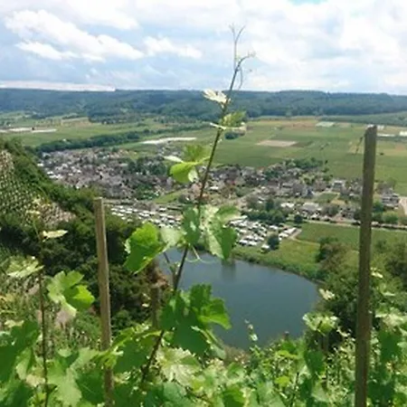 Weingut & Gaestehaus Kaufmann-schneider 3* Erden