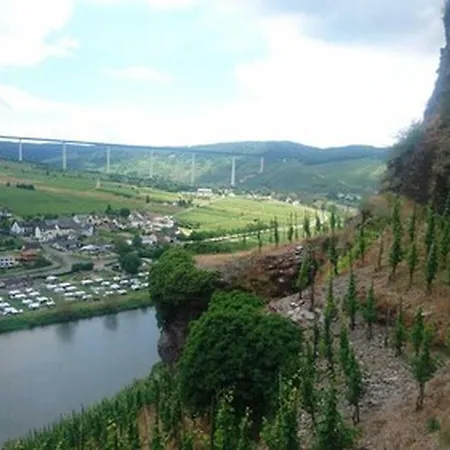 Weingut & Gaestehaus Kaufmann-schneider 3*