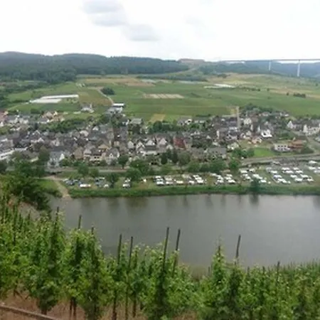 Hotel Weingut & Gaestehaus Kaufmann-schneider