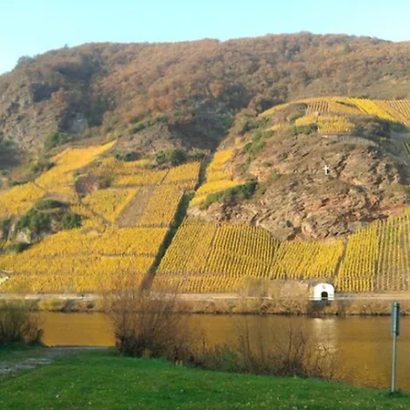 Hotel Weingut & Gaestehaus Kaufmann-schneider 3*