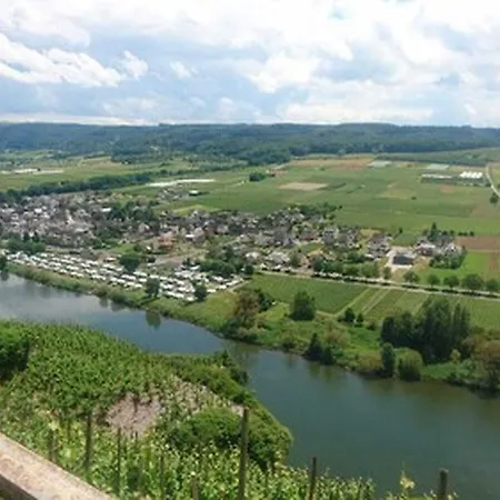 Hotel Weingut & Gaestehaus Kaufmann-schneider 3*