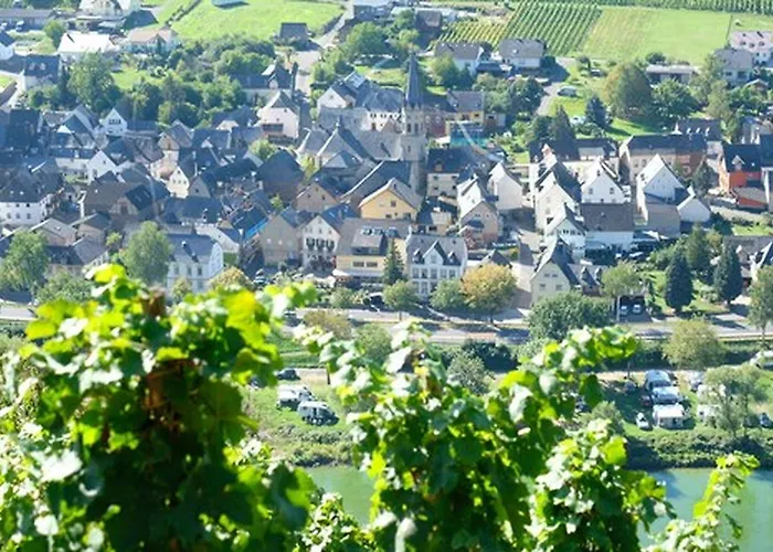 Hotel Weingut & Gaestehaus Kaufmann-schneider