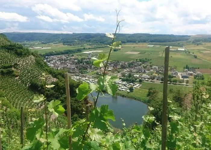 Weingut & Gaestehaus Kaufmann-schneider 3* Erden