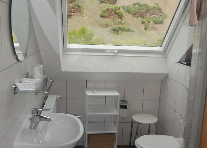 Weingut & Gaestehaus Kaufmann-schneider 3*