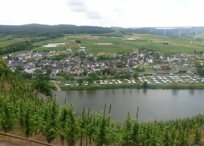 Hotel Weingut & Gaestehaus Kaufmann-schneider