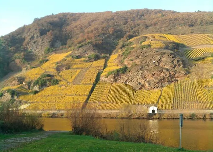 Hotel Weingut & Gaestehaus Kaufmann-schneider 3*